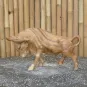 morepic-7